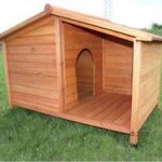 מלונה לכלב (1)