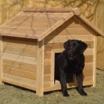 מלונה לכלב (3)