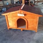 מלונה לכלב בינוני