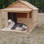 מלונה כלב גדול