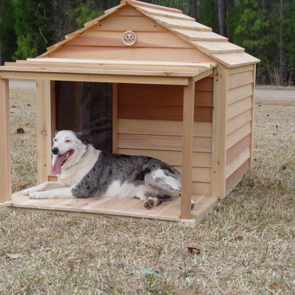 מלונה כלב גדול