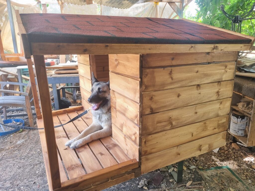נגר בונה מלונה לכלב בעבודת יד - אל גליל עבודות עץ